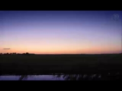 1000-8000 Series Prepainted Aluminium Coil